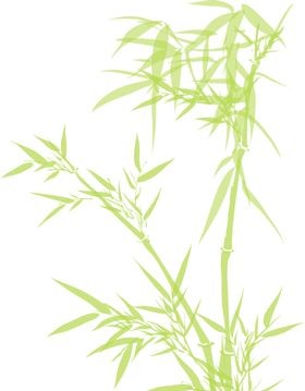 竹子竹叶
