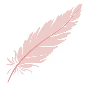 羽毛 素材