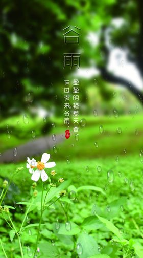 二十四节气之一夏至海报