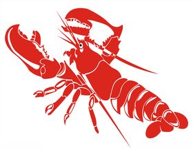 大龙虾