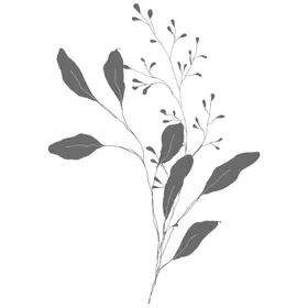 手绘花藤花纹水彩环叶叶边框植物草