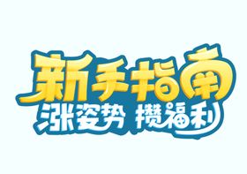 新手指南