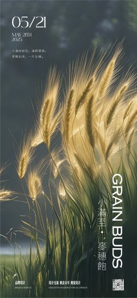 小满芒种节气稿