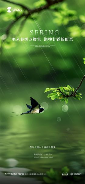 春分雨水谷雨惊蛰节气海报