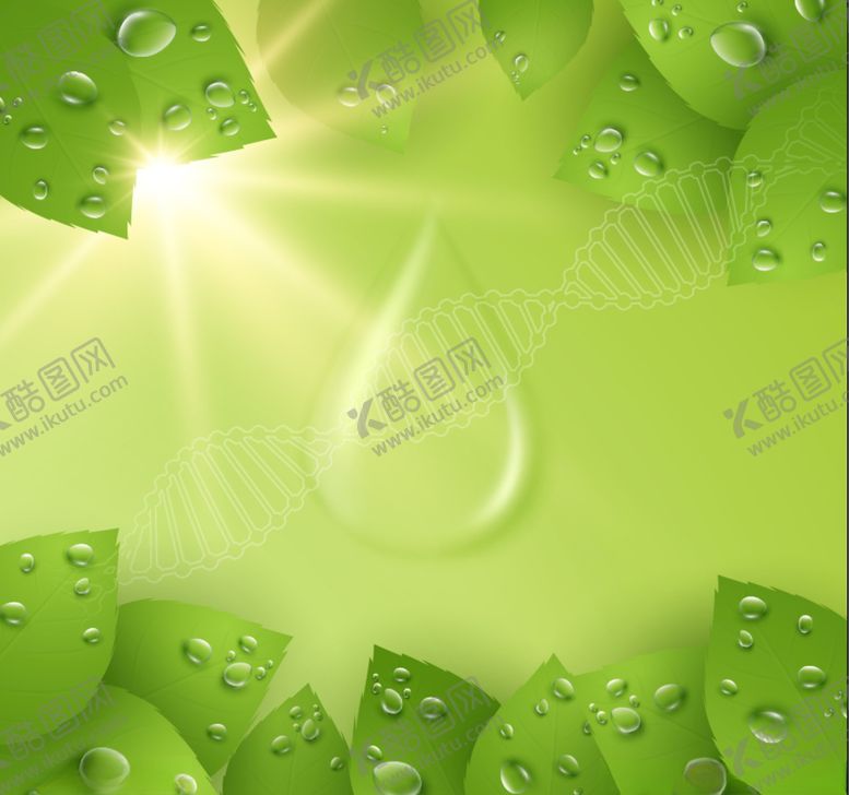 编号：52158609241804055300【酷图网】源文件下载-水滴树叶