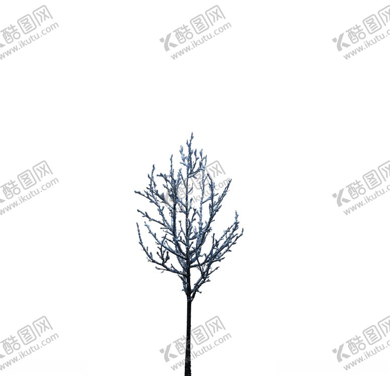 编号：27506209151734541287【酷图网】源文件下载-树木