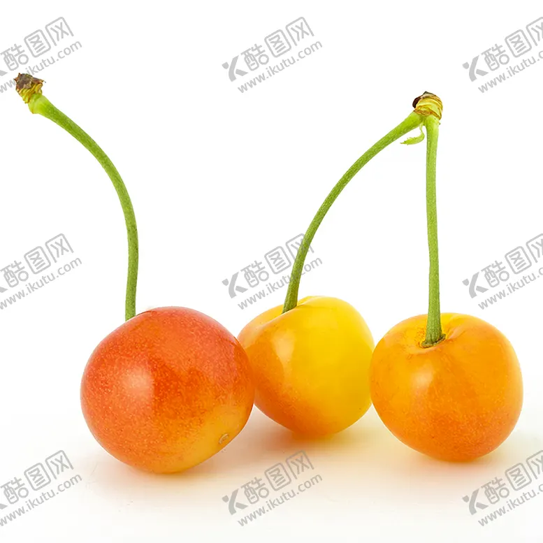 编号：70321909202104459653【酷图网】源文件下载-黄樱桃