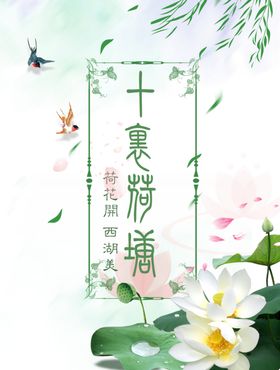 荷花山水