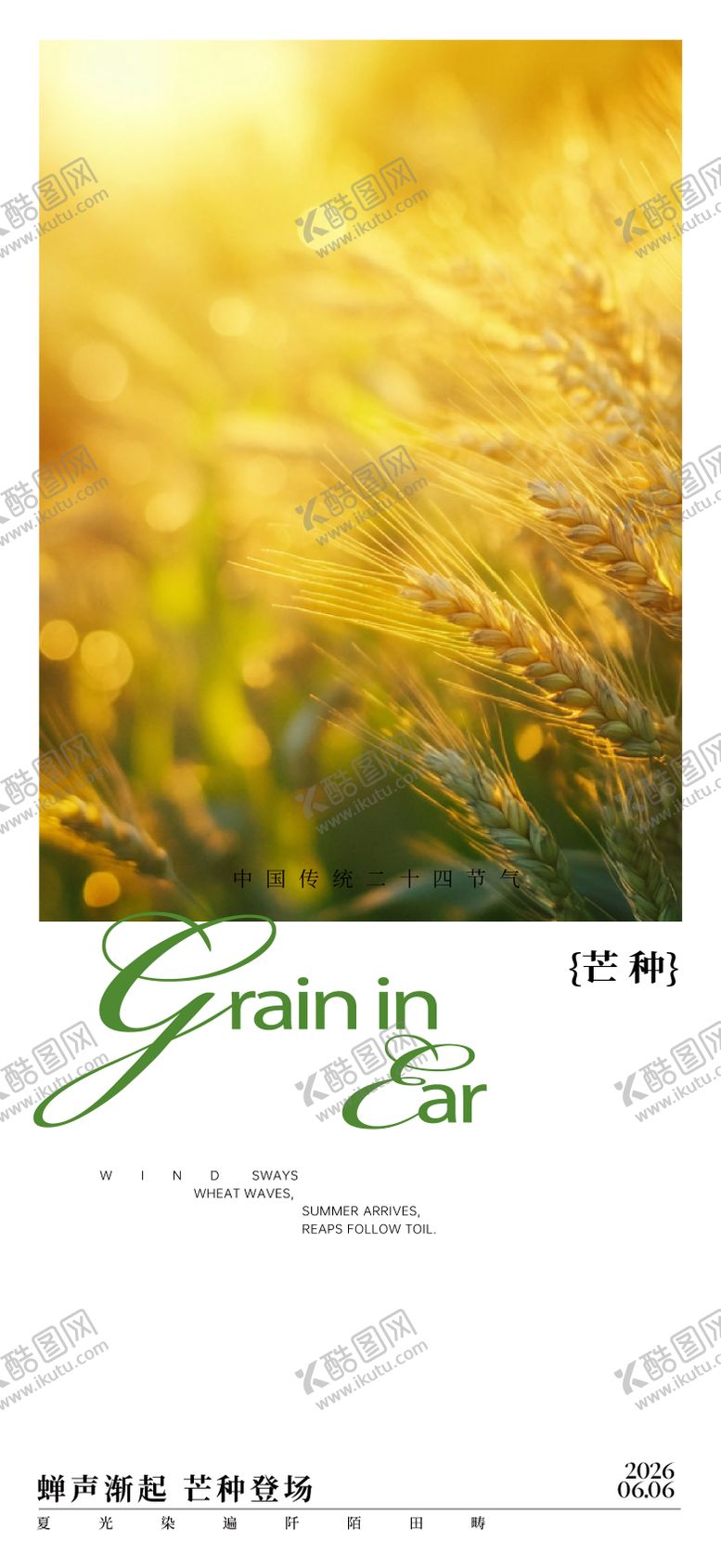 编号：46799205312341473924【酷图网】源文件下载-芒种节气海报