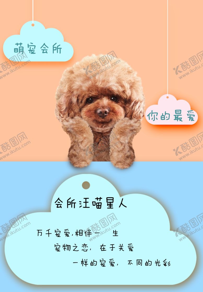 编号：64365106241617186922【酷图网】源文件下载-宠物海报