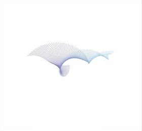曲线背景渐变线条动感线条