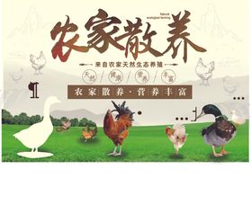 农家散养
