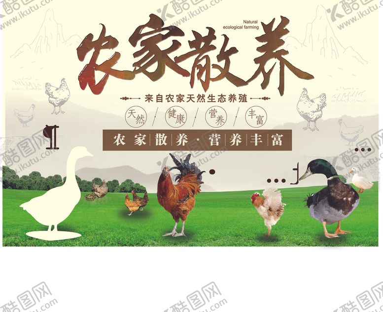编号：23833305081251155642【酷图网】源文件下载-农家散养