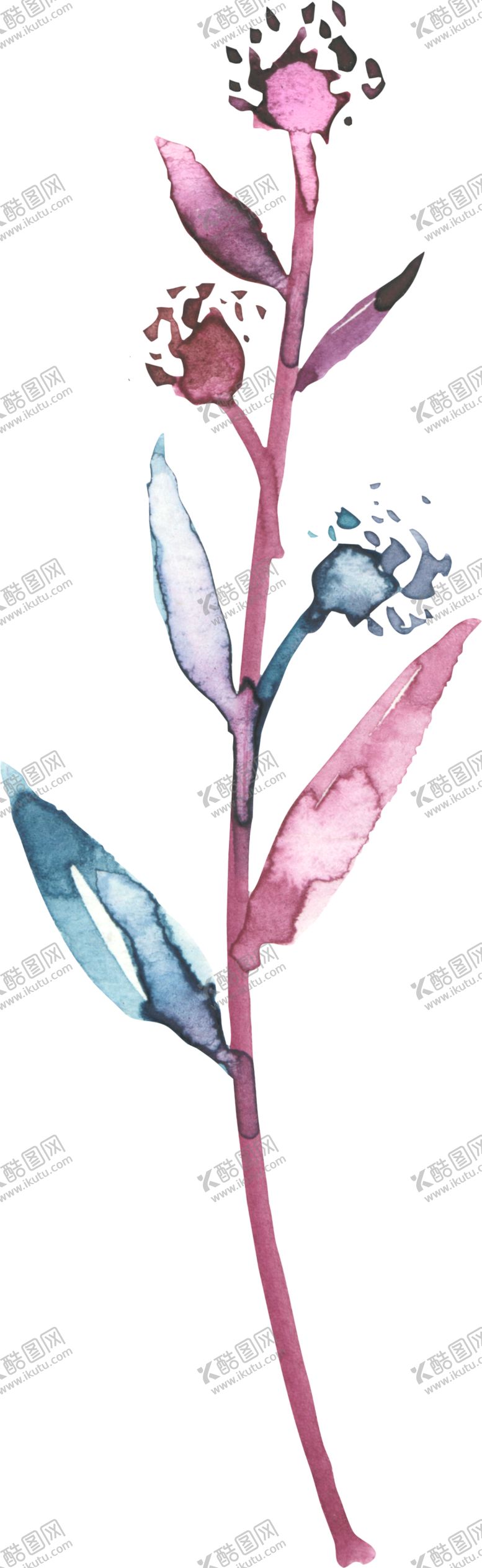 编号：95817605081156192094【酷图网】源文件下载-水彩手绘花卉花朵植物