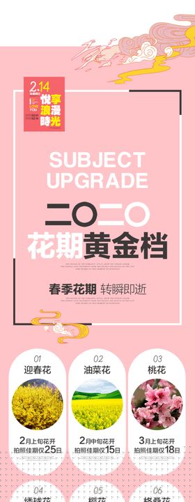 2020花期黄金档