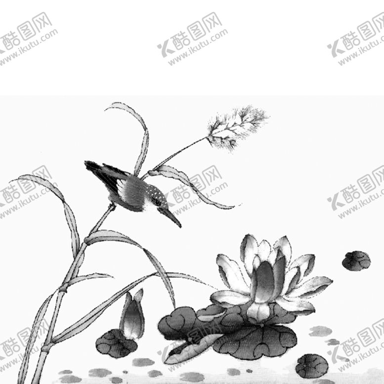 编号：58513305110125301742【酷图网】源文件下载-水墨荷花粉色荷花荷花意境