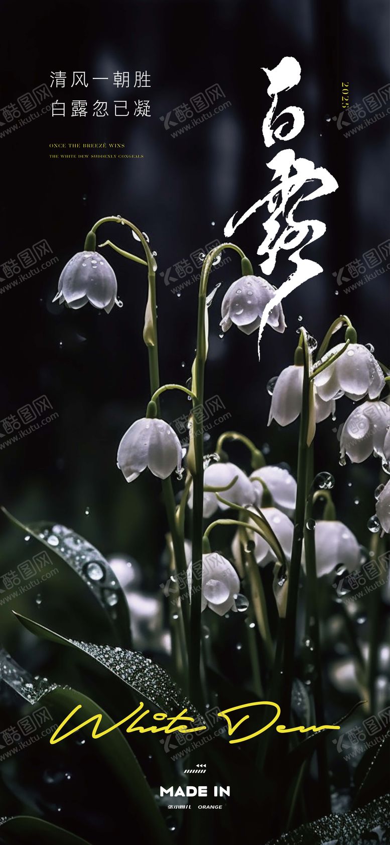 编号：42921108102305436752【酷图网】源文件下载-白露二十四节气海报