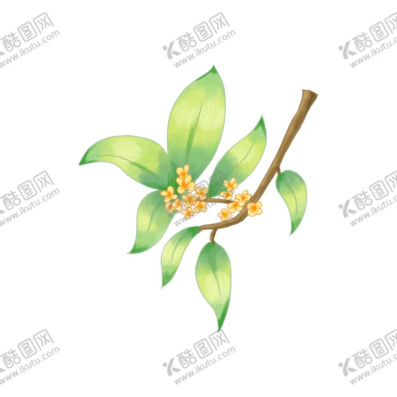 编号：26694802101357122376【酷图网】源文件下载-手绘桂花png免抠素材
