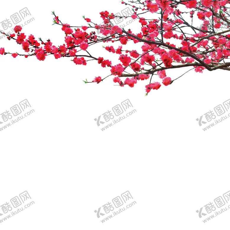 编号：27600403150323119652【酷图网】源文件下载-桃花素材
