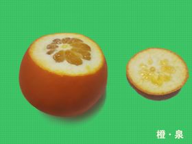 免费橙子切片平铺图案