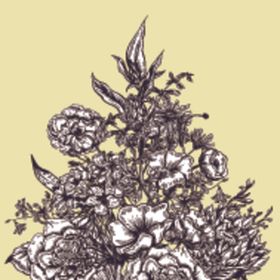 花卉卡片