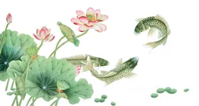 中国风荷叶荷花绘画