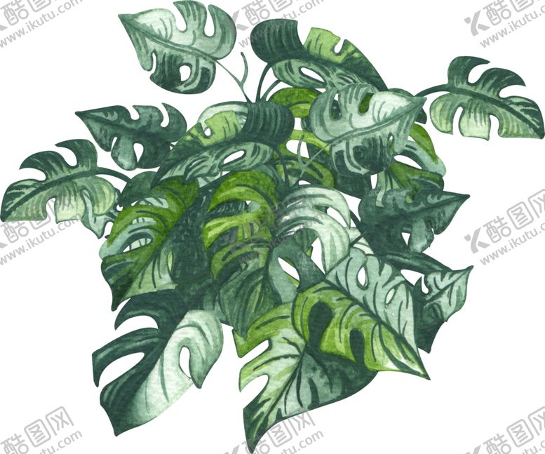 编号：30635505150659392268【酷图网】源文件下载-绿植水彩插画
