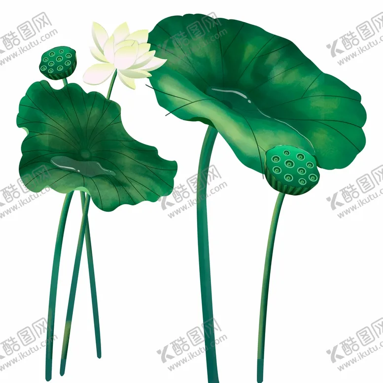编号：27395010260531452308【酷图网】源文件下载-手绘荷花