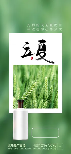 立夏至设计天二十四节气
