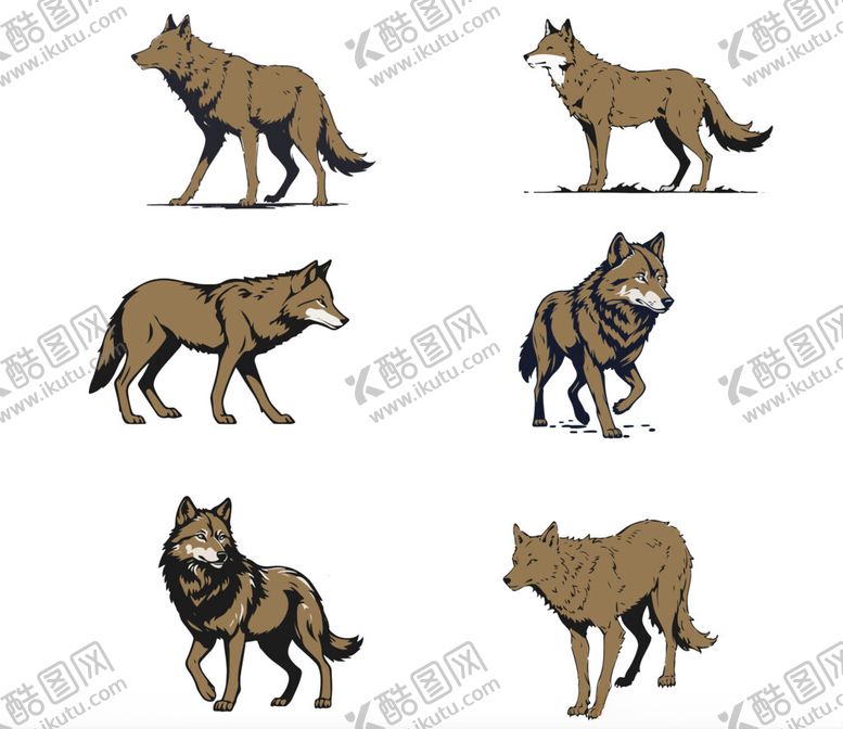 编号：98815102091735408774【酷图网】源文件下载-狼插画