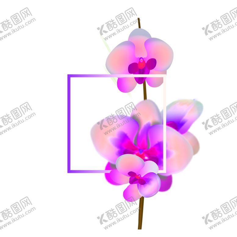 编号：44137510170426434987【酷图网】源文件下载-鲜花素材
