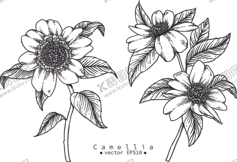 编号：95123609091054477323【酷图网】源文件下载-花卉花蕊