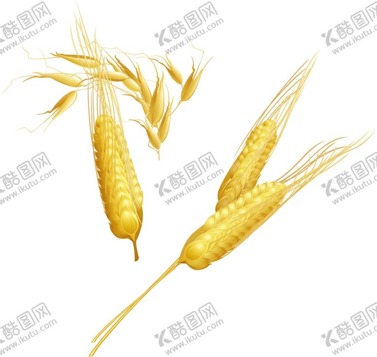 编号：28465106260427464895【酷图网】源文件下载-麦须
