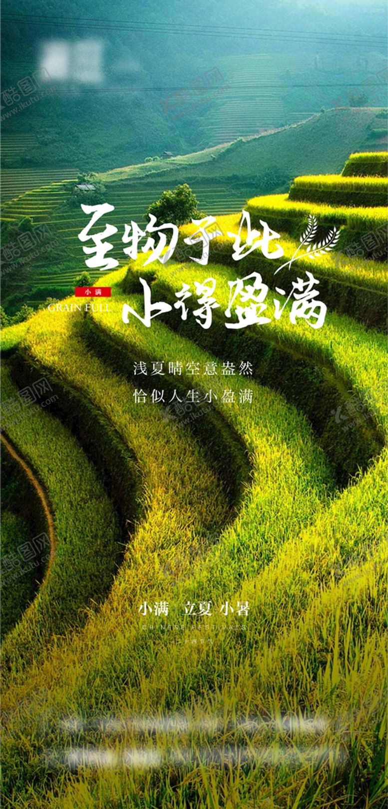 编号：67638901300441347650【酷图网】源文件下载-小暑 小满 立夏