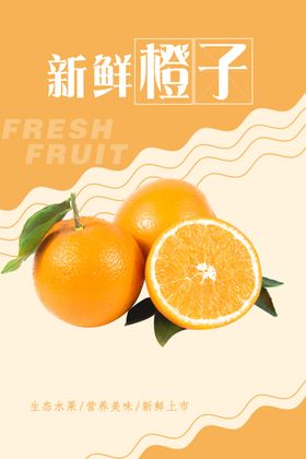 橙子海报