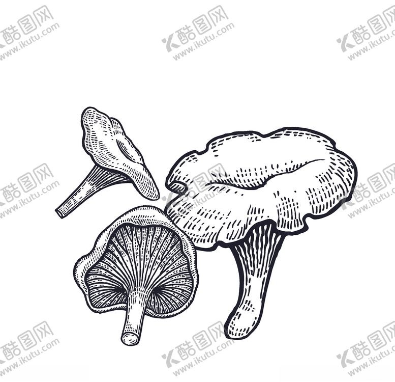 编号：75612307140120328767【酷图网】源文件下载-蘑菇