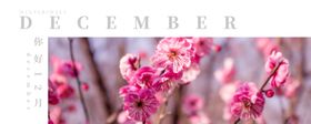 你好12月