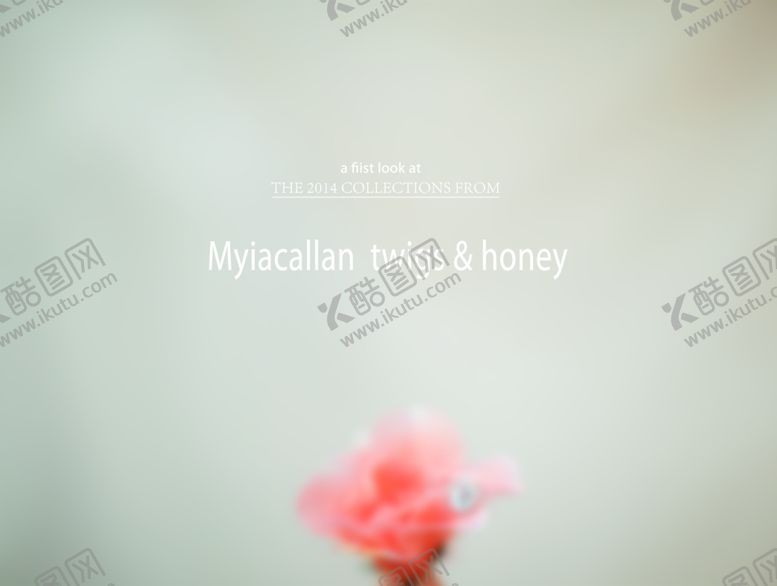 编号：33958009171225206844【酷图网】源文件下载-英文欧式复古风格影楼相册模板