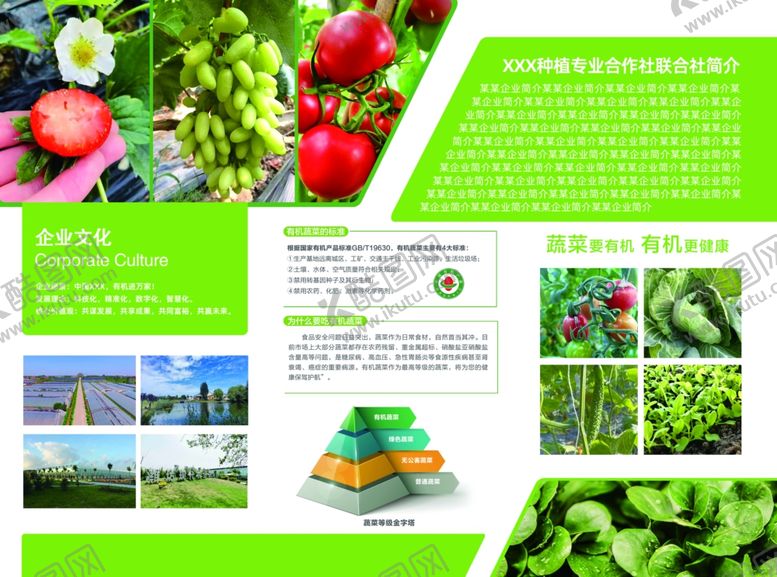 编号：92722203082239008127【酷图网】源文件下载-绿色有机蔬菜三折页