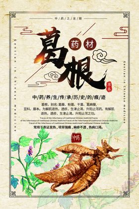 葛根药材中药复古传统海报素材