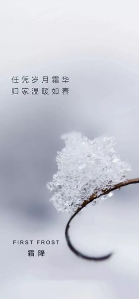 节日
