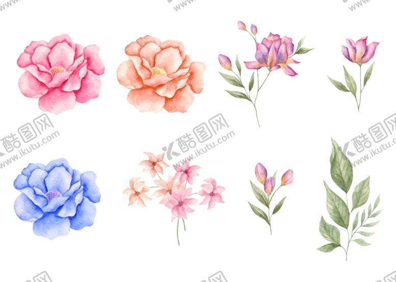 编号：85982611202216331171【酷图网】源文件下载-水彩花卉