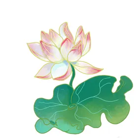 免扣荷花素材摄影莲元莲底纹