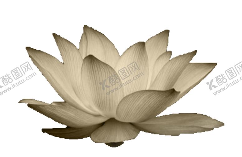 编号：30515010290802326799【酷图网】源文件下载-荷花