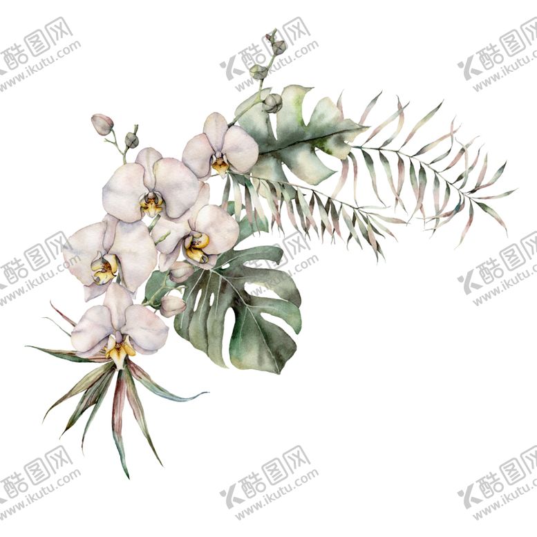 编号：26882907091150395343【酷图网】源文件下载-植物花朵装饰图案