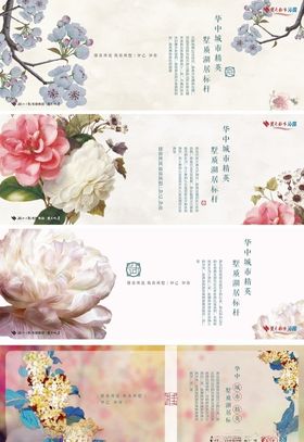 花卉明星片