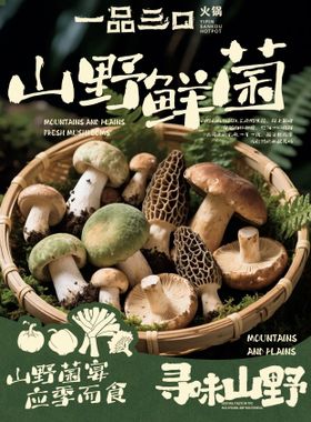 野生菌火锅海报设计