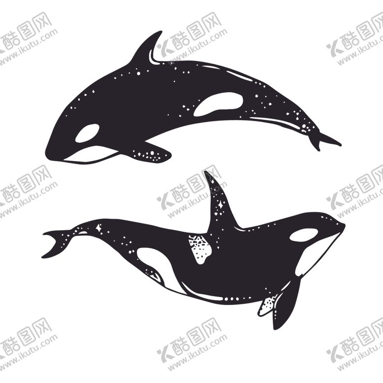 编号：73357609281407367225【酷图网】源文件下载-炫彩渐变鲸鱼图案