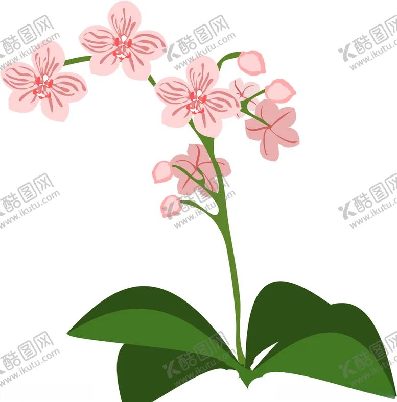 编号：87241306251604179069【酷图网】源文件下载-矢量蝴蝶兰
