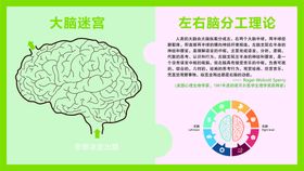 编号：26370509281950275270【酷图网】源文件下载-左右脑分工